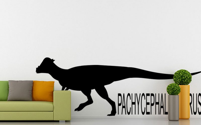 dinos falmatrica pachycephalosaurus 5